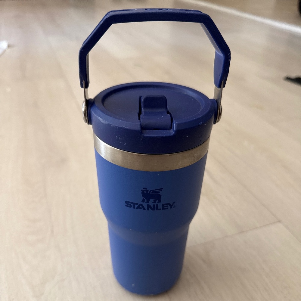 Stanley 20oz sip bottle